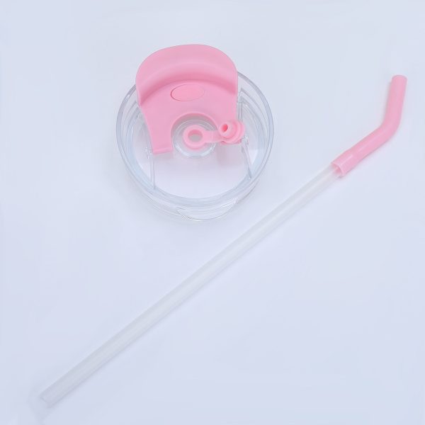 3pcs Bottle Set With Straw (random Color)